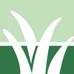 Buzz Lawn Care Service