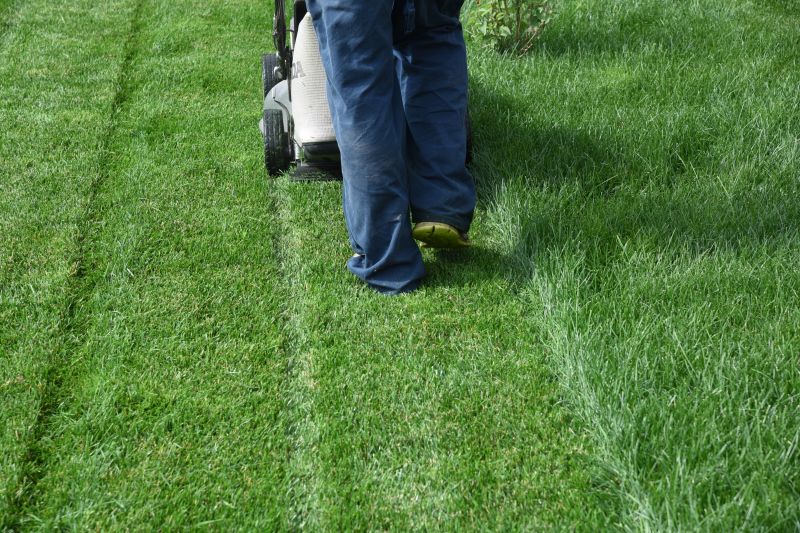 Lawn Care Service Pricing - Cost Overview