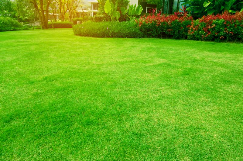 Lawn Care Service Pricing - Cost Overview