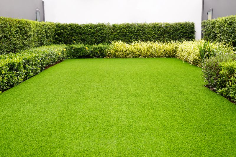 Healthy Green Lawn