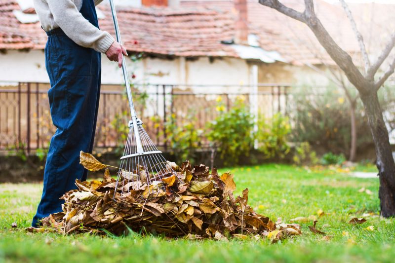 Seasonal Lawn Cleanup