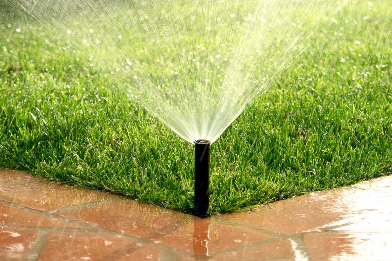 Watering Tips for Summer