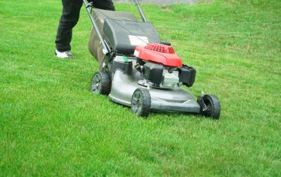 Lawn Mowing and Trimming