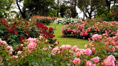 Gardening Services