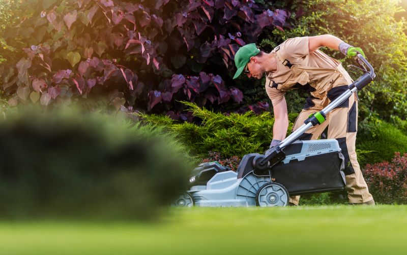 Local Lawn Care Service pros at work
